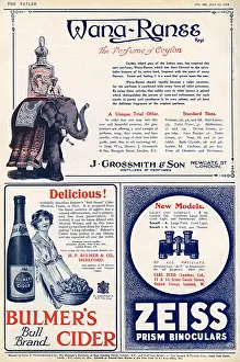 A back page of adverts from The Tatler, dated 22nd July 1914