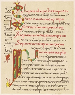 Compilation Collection: Page from the Edict of the Lombard King Rothair