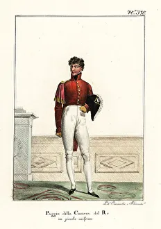 Bicorne Prints: Page of the French Royal Bedchamber to King Louis XVIII