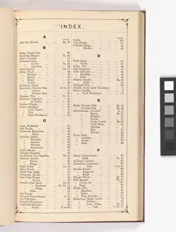 Page from Illustrated Catalogue of Machine-Made and Cast Ca
