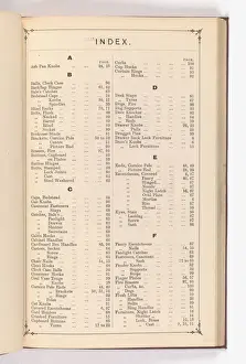 Page from Illustrated Catalogue of Machine-Made and Cast Ca