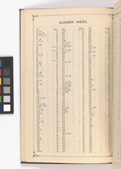 Page from Illustrated Catalogue of Machine-Made and Cast Ca