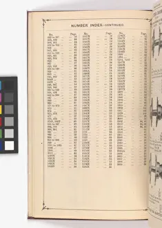 Page from Illustrated Catalogue of Machine-Made and Cast Ca