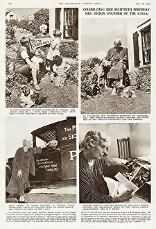 Pekingese Prints: Page from the Illustrated London News with a report on Maria Elizabeth Dickin