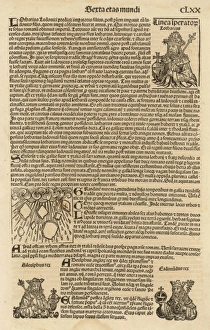 Page from Meisterlins Nurnberger Chronik Page from Meisterlins Nurnberger Chronik