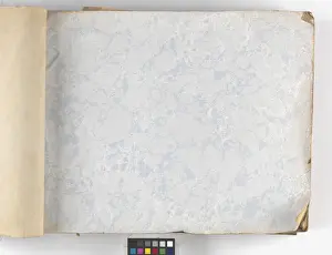 Page from New Artistic Wall Papers
