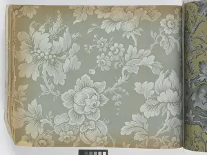 Page from New Artistic Wall Papers