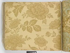Page from New Artistic Wall Papers