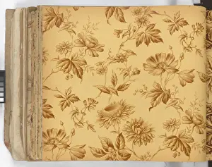 Page from New Artistic Wall Papers