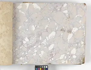 Page from New Artistic Wall Papers