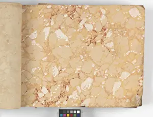 Page from New Artistic Wall Papers