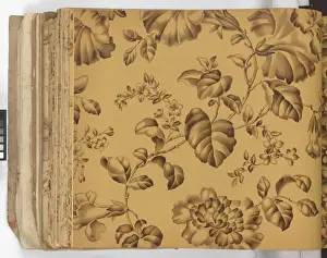 Page from New Artistic Wall Papers