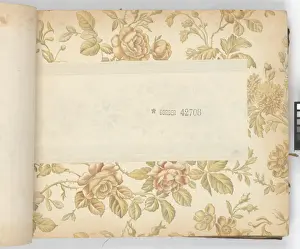 Page from New Artistic Wall Papers