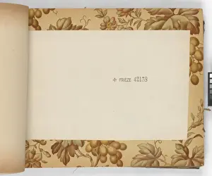 Page from New Artistic Wall Papers