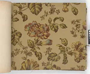 Page from New Artistic Wall Papers