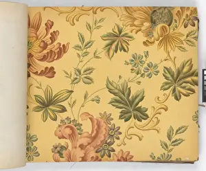 Page from New Artistic Wall Papers