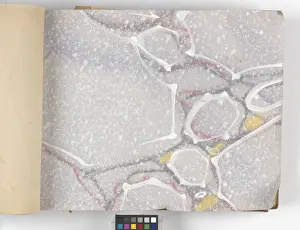 Page from New Artistic Wall Papers