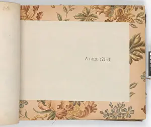 Page from New Artistic Wall Papers
