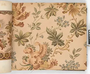 Page from New Artistic Wall Papers