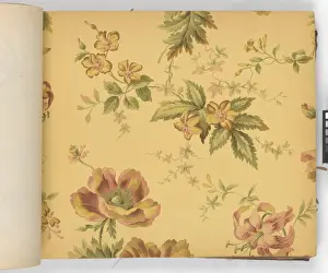 Page from New Artistic Wall Papers
