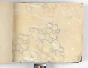 Page from New Artistic Wall Papers