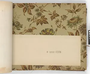 Page from New Artistic Wall Papers