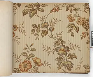 Page from New Artistic Wall Papers