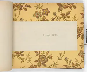 Page from New Artistic Wall Papers