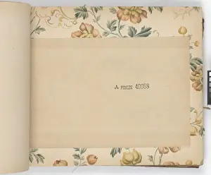 Page from New Artistic Wall Papers