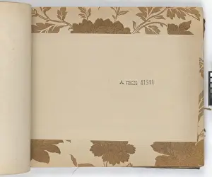 Page from New Artistic Wall Papers