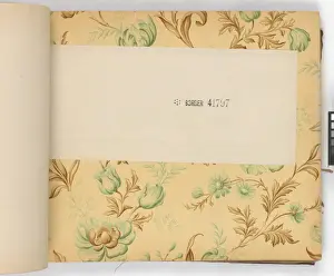 Page from New Artistic Wall Papers