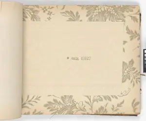 Page from New Artistic Wall Papers