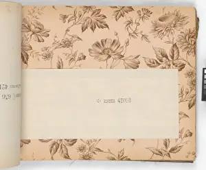 Page from New Artistic Wall Papers
