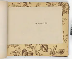 Page from New Artistic Wall Papers
