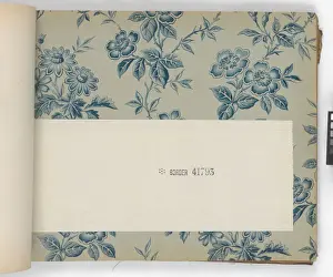 Page from New Artistic Wall Papers