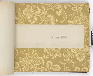 Page from New Artistic Wall Papers