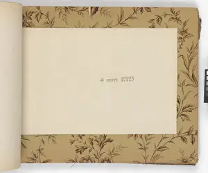 Page from New Artistic Wall Papers