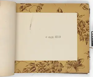 Page from New Artistic Wall Papers