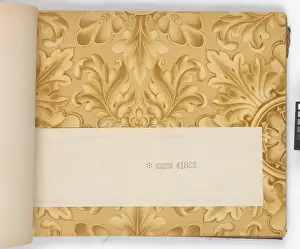 Page from New Artistic Wall Papers