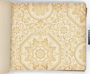 Page from New Artistic Wall Papers