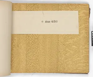 Page from New Artistic Wall Papers