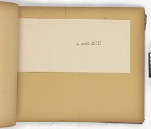 Page from New Artistic Wall Papers