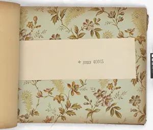 Page from New Artistic Wall Papers