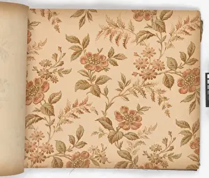 Page from New Artistic Wall Papers