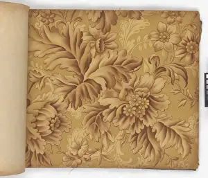 Page from New Artistic Wall Papers