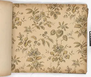 Page from New Artistic Wall Papers