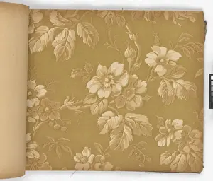 Page from New Artistic Wall Papers