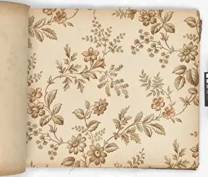 Page from New Artistic Wall Papers