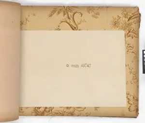 Page from New Artistic Wall Papers