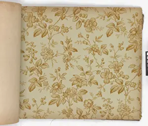 Page from New Artistic Wall Papers
